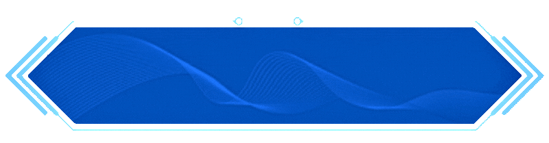 搭档.gif