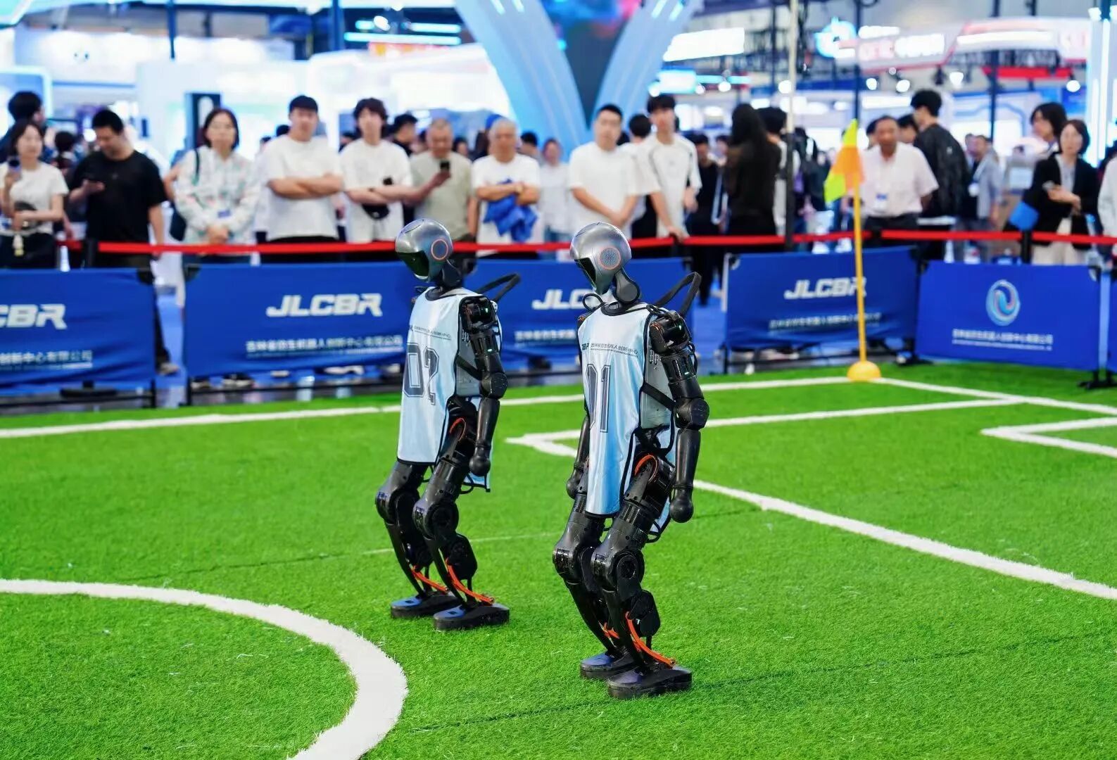1781313772569638.jpg 微信图片_2026-06-13_092235_549.jpg